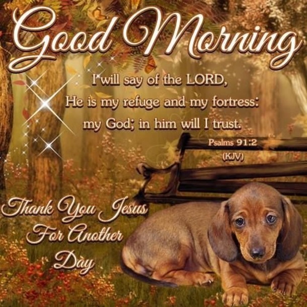 100+ Best Good Morning Images And Quotes - picture 47