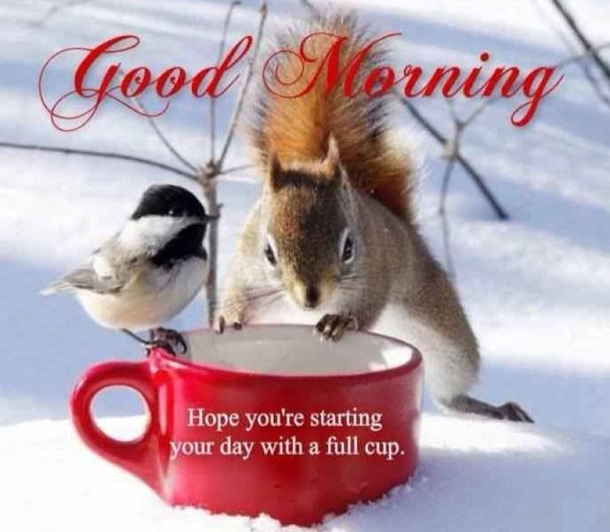100+ Best Good Morning Images And Quotes - picture 48