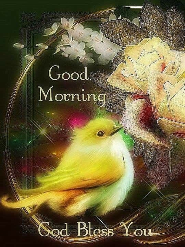 100+ Best Good Morning Images And Quotes - picture 51