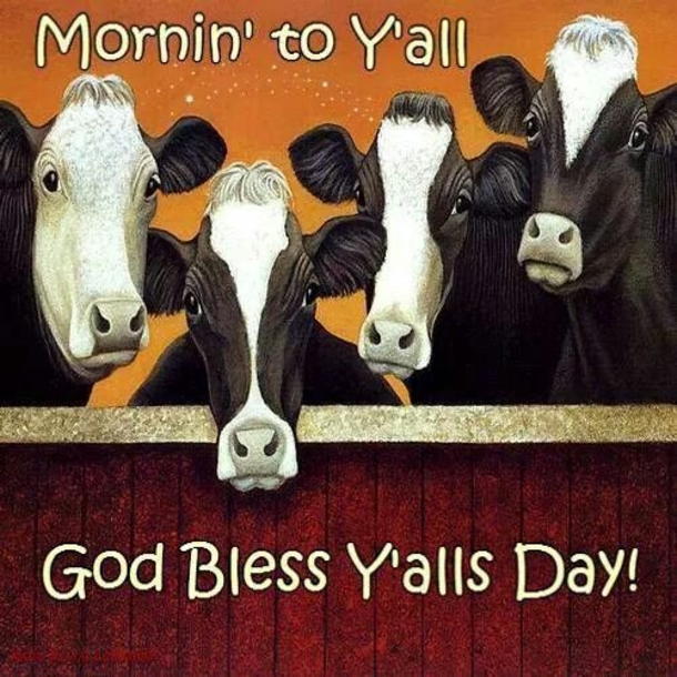 100+ Best Good Morning Images And Quotes - picture 58