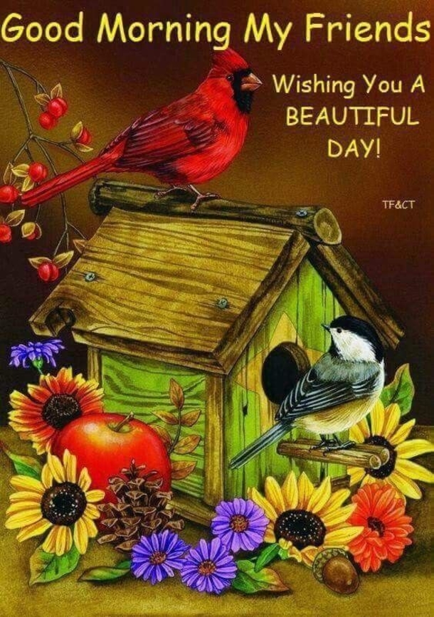 100+ Best Good Morning Images And Quotes - picture 6