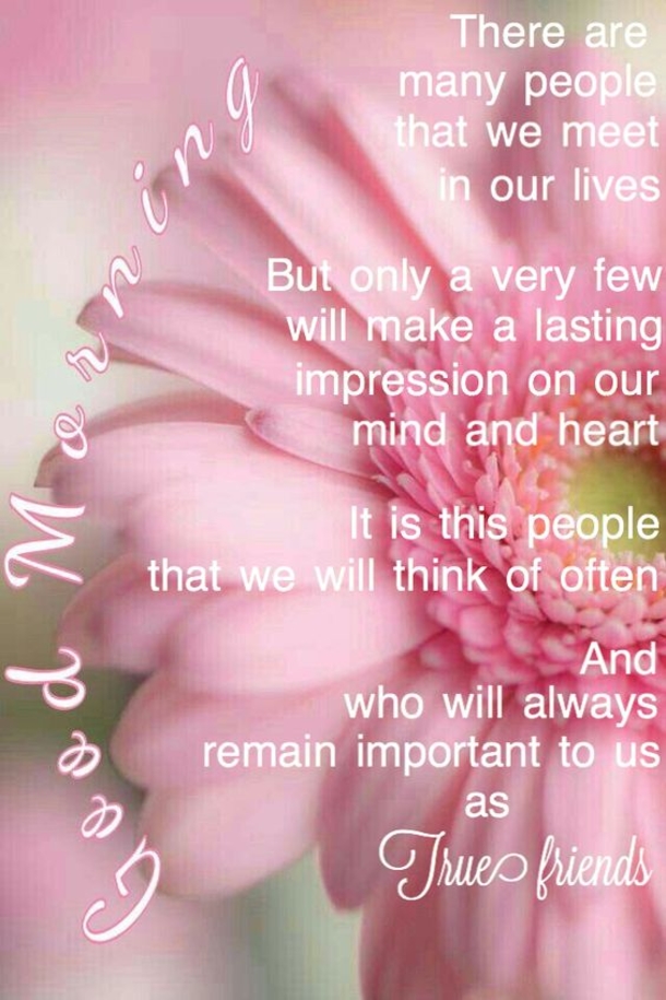 100+ Best Good Morning Images And Quotes - picture 66