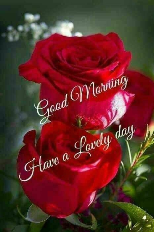 100+ Best Good Morning Images And Quotes - picture 69
