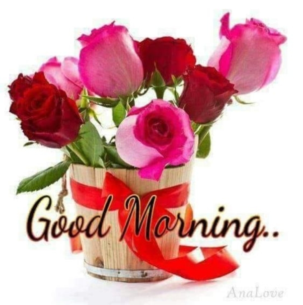 100+ Best Good Morning Images And Quotes - picture 70