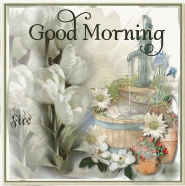 100+ Best Good Morning Images And Quotes - picture 75
