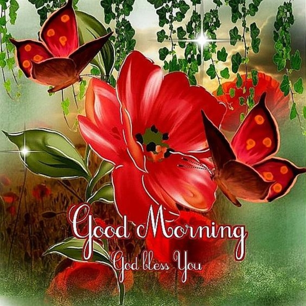 100+ Best Good Morning Images And Quotes - picture 78