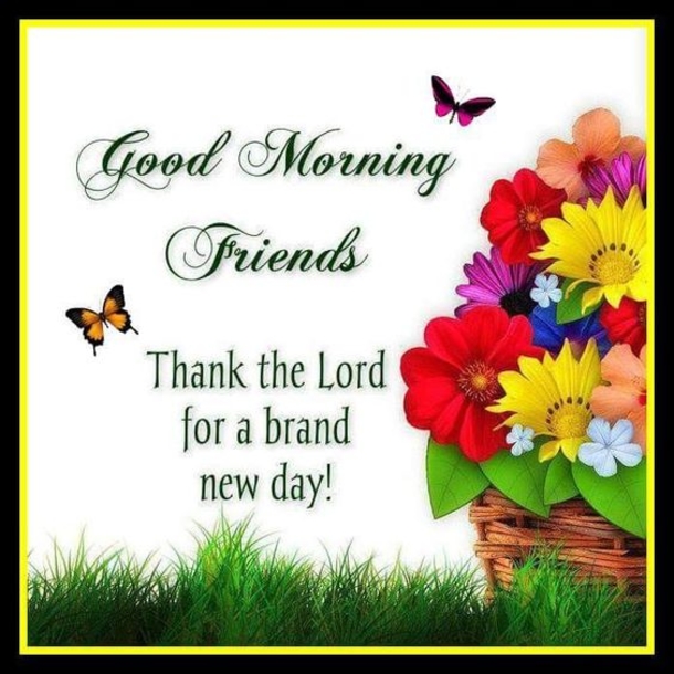 100+ Best Good Morning Images And Quotes - picture 9