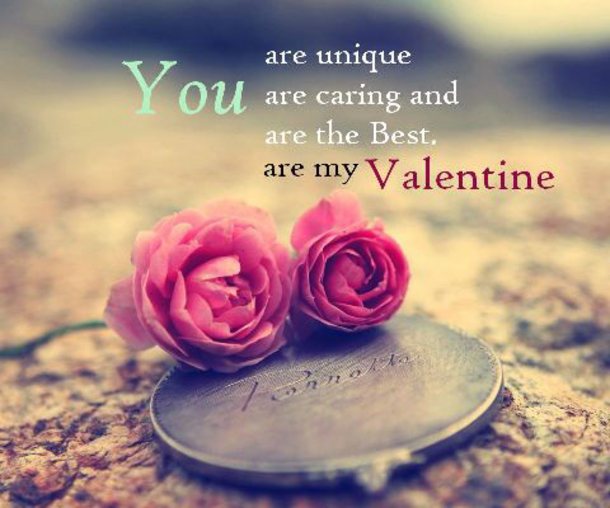 100+ Best Valentine's Day Quotes - picture 89