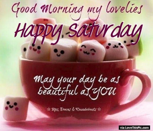 100 Creative Saturday Quotes, Greetings And IG Captions (2023) - picture 9