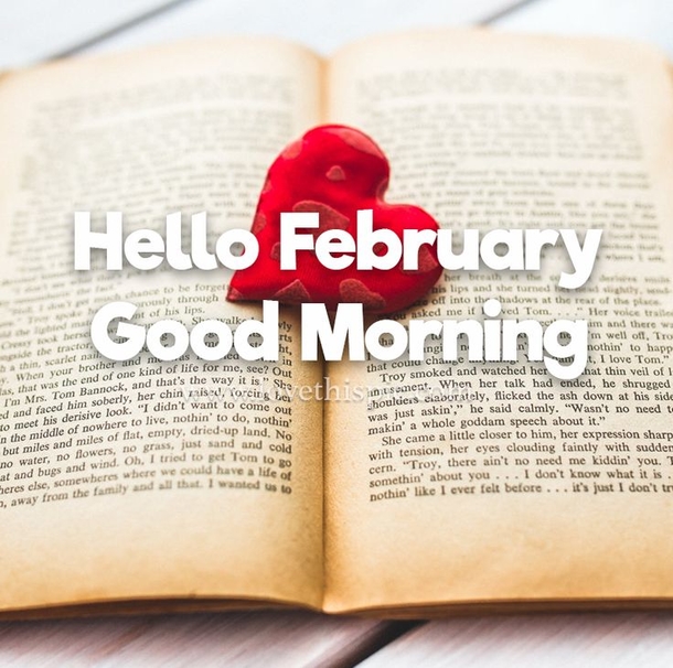 100 Good Morning February Wishes & Greeting Quotes For 2024 To Start The Month - picture 10
