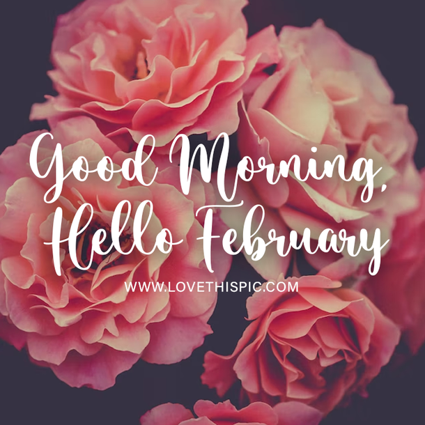 100 Good Morning February Wishes & Greeting Quotes For 2024 To Start The Month - picture 6