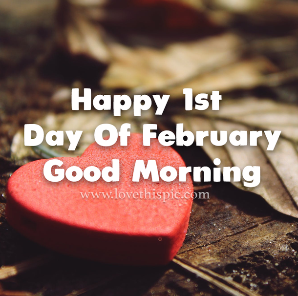 100 Good Morning February Wishes & Greeting Quotes For 2024 To Start The Month - picture 8