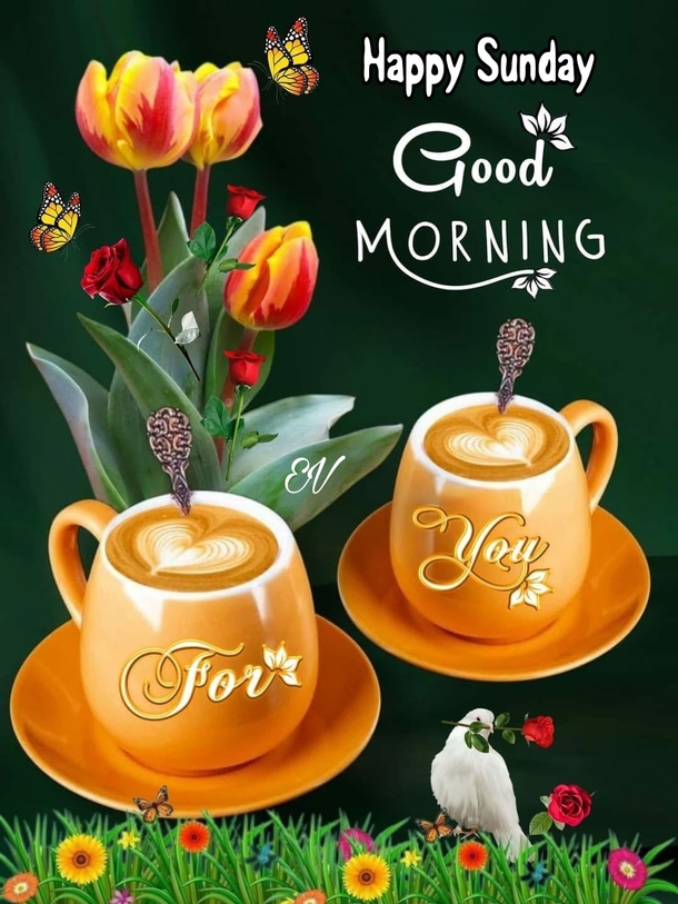 100+ Good Morning Sunday Pics In 2024 To Fill Your Day With Blessings - picture 4