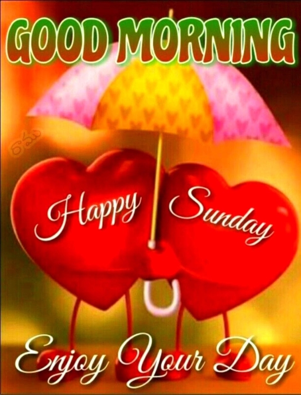 100+ Good Morning Sunday Pics In 2024 To Fill Your Day With Blessings - picture 7