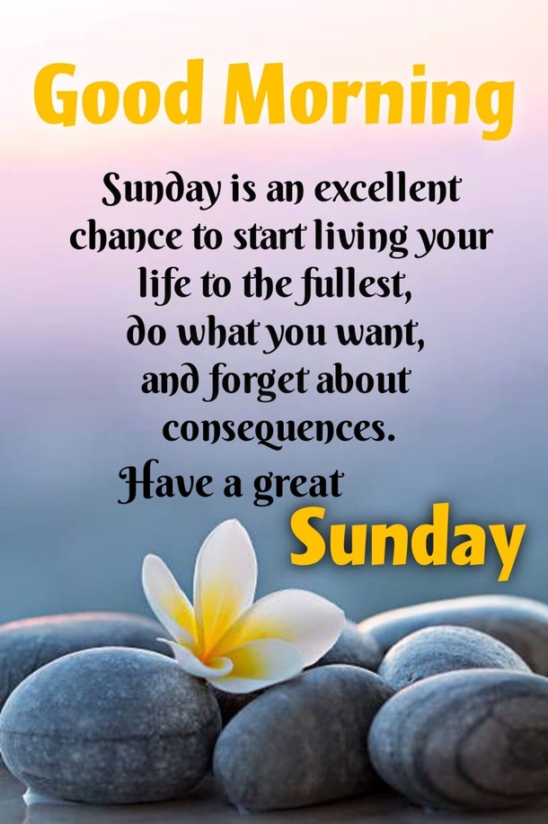 100+ Good Morning Sunday Pics In 2024 To Fill Your Day With Blessings - picture 9