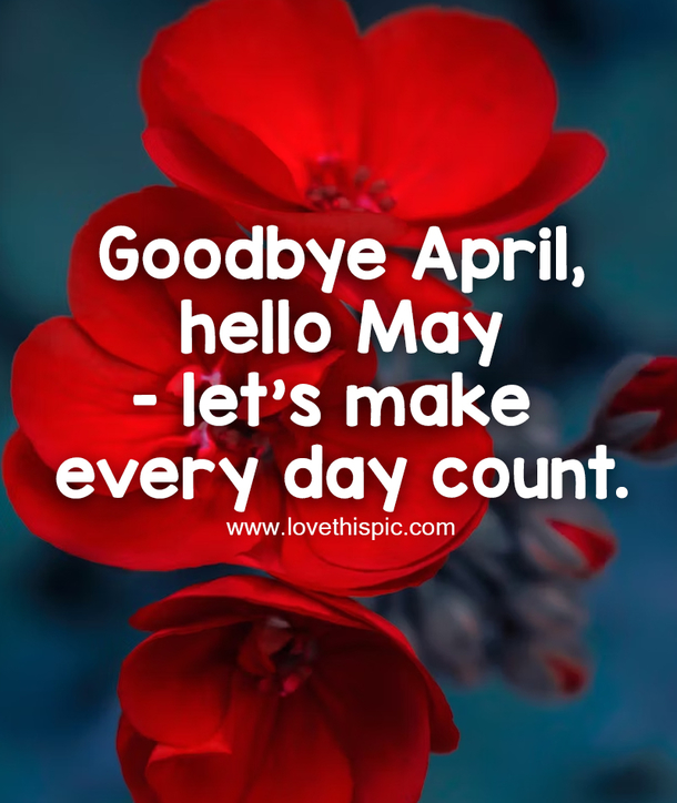 100+ Goodbye April Hello May Quotes For 2023 to Kickstart Your Month with Positivity - picture 2