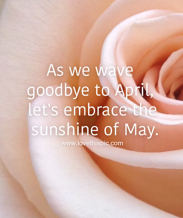 100+ Goodbye April Hello May Quotes For 2023 to Kickstart Your Month with Positivity - picture 3