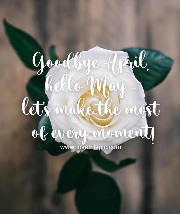 100+ Goodbye April Hello May Quotes For 2023 to Kickstart Your Month with Positivity - picture 6