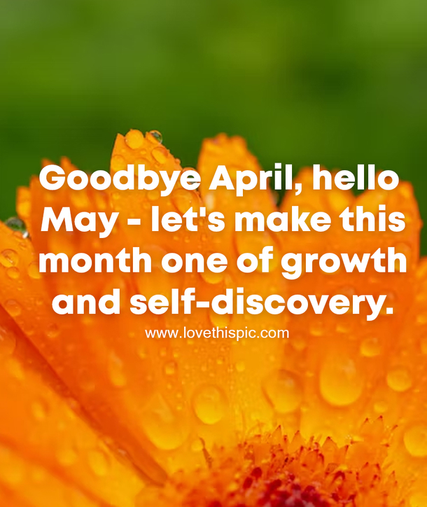 100+ Goodbye April Hello May Quotes For 2023 to Kickstart Your Month with Positivity - picture 7