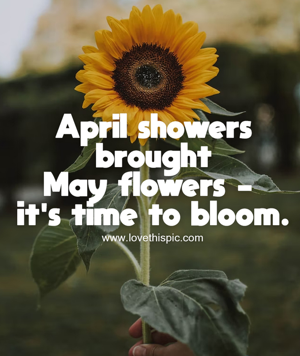 100+ Goodbye April Hello May Quotes For 2023 to Kickstart Your Month with Positivity - picture 8