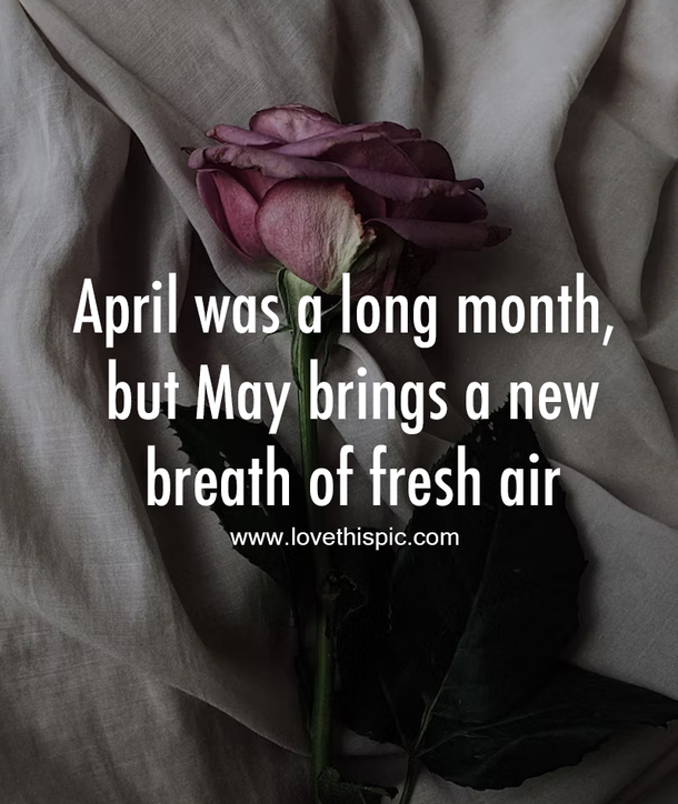 100+ Goodbye April Hello May Quotes For 2023 to Kickstart Your Month with Positivity - picture 9