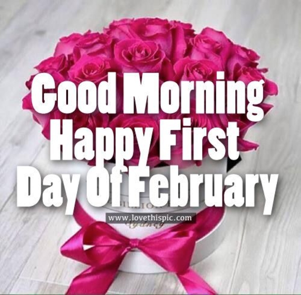 100+ Happy First Day Of February 2024 Images With Quotes - picture 5