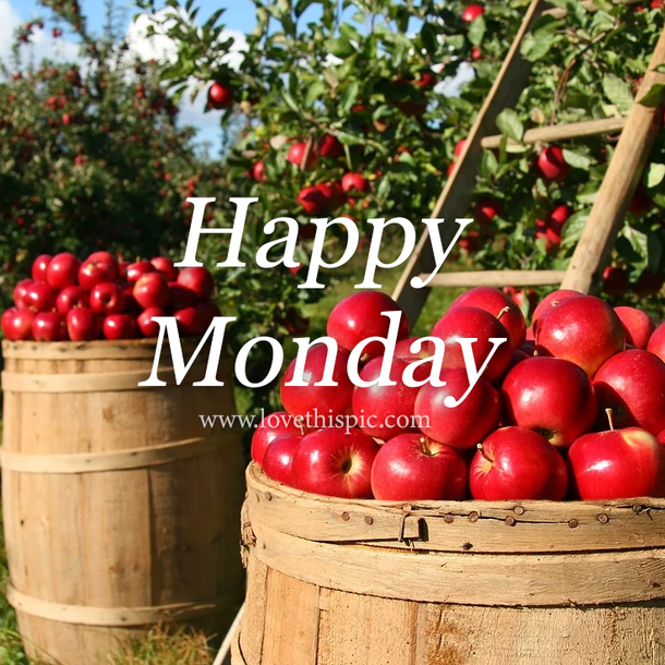 100+ Happy Monday 2022 Quotes, Blessings And Greetings For A New Week - picture 8