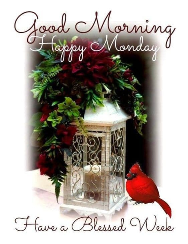 100+ Happy Monday 2023 Quotes, IG Captions, Messages And More - picture 2