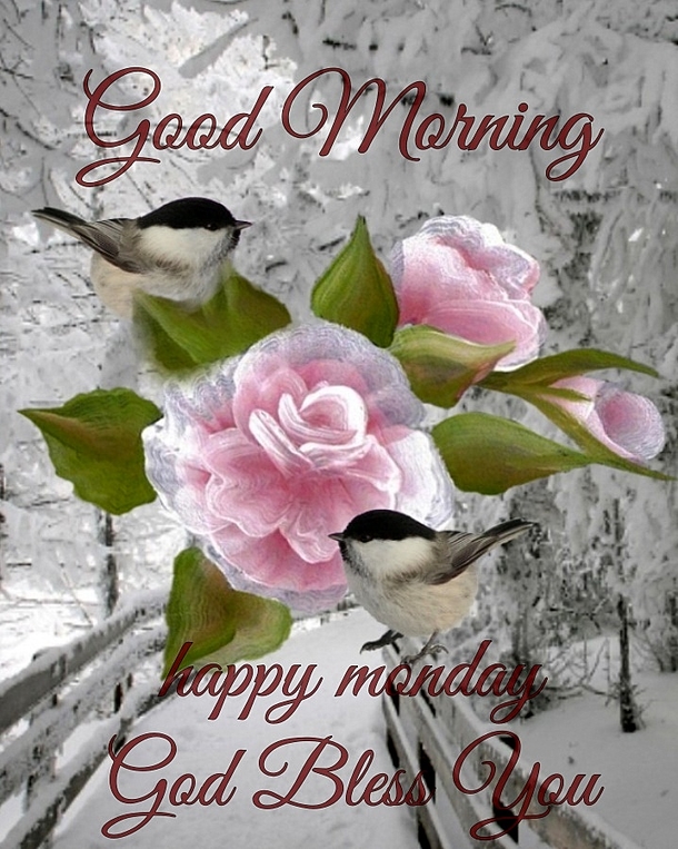 100+ Happy Monday 2023 Quotes, IG Captions, Messages And More - picture 5