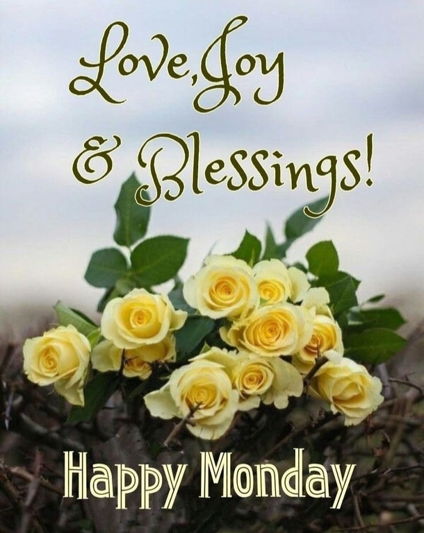 100+ Happy Monday 2023 Quotes, IG Captions, Messages And More - picture 8