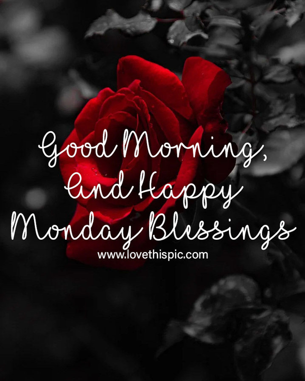 100+ Happy Monday Blessings To Uplift Your Day - picture 2