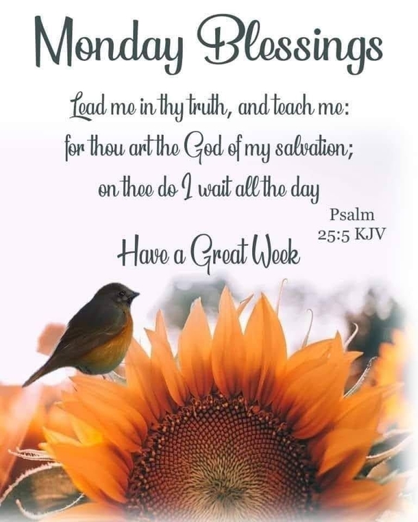 100+ Happy Monday Blessings To Uplift Your Day - picture 5