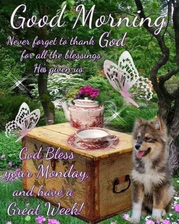 100+ Happy Monday & Hello Monday Quotes To Inspire The New Day Every Week - picture 5