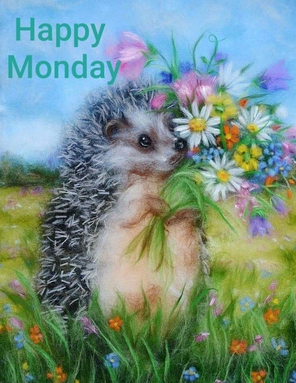 100+ Happy Monday & Hello Monday Quotes To Inspire The New Day Every Week - picture 6