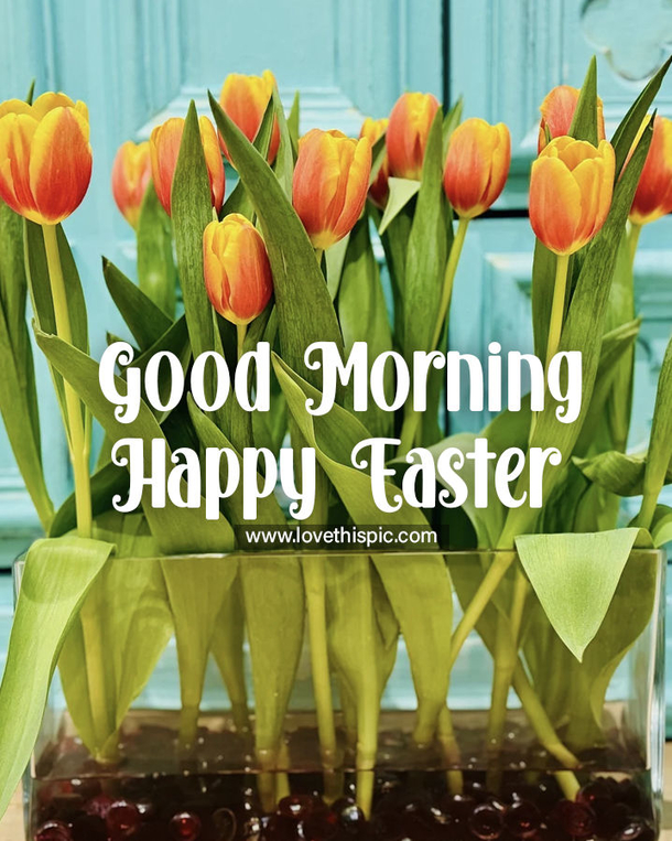 100+ Heartwarming Good Morning Happy Easter Quotes - picture 3