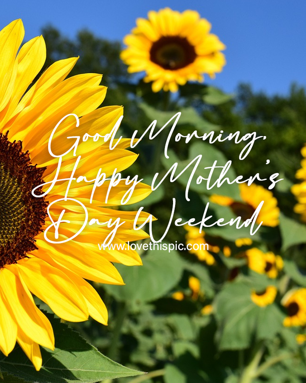 100 Heartwarming Happy Mother's Day Weekend Quotes For 2023 - picture 12