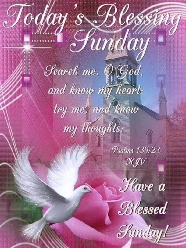 100+ Hello Sunday Quotes In 2024 To Elevate Your Day - picture 11