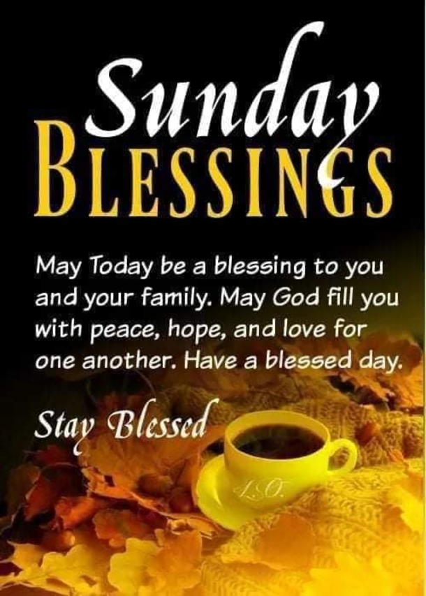 100+ Hello Sunday Quotes In 2024 To Elevate Your Day - picture 4