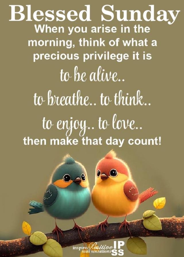 100+ Hello Sunday Quotes In 2024 To Elevate Your Day - picture 8