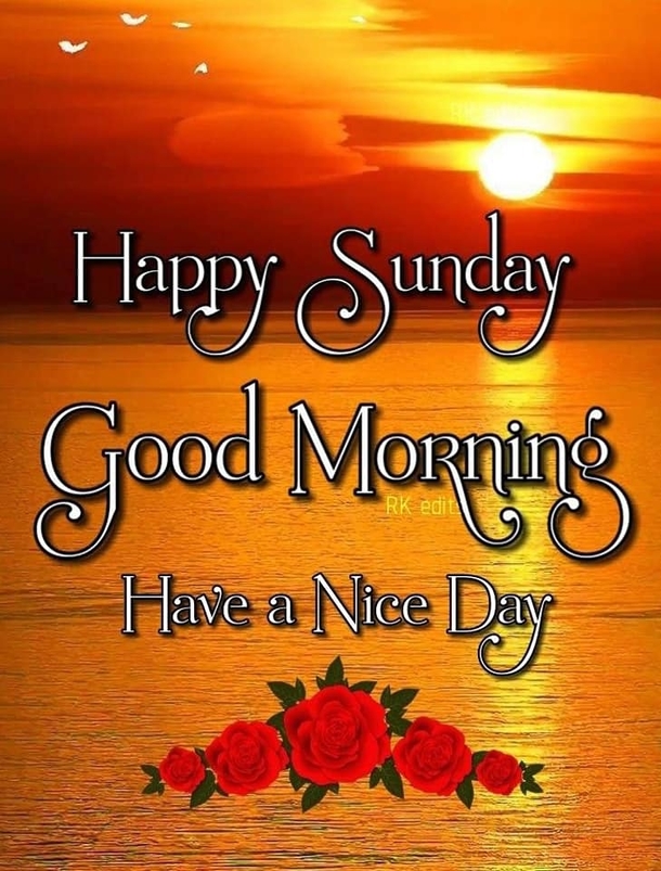 100+ Hello Sunday Quotes In 2024 To Elevate Your Day - picture 9