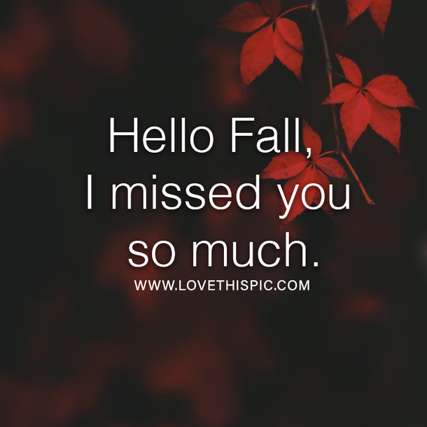 100+ Inspirational Hello Fall Quotes, Sayings, Wishes And Greetings For 2022 - picture 2
