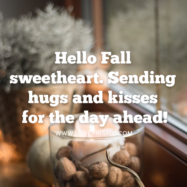 100+ Inspirational Hello Fall Quotes, Sayings, Wishes And Greetings For 2022 - picture 6