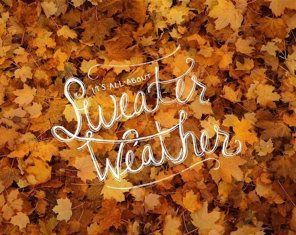 100+ Inspirational Short Fall Quotes You Will Love - picture 3