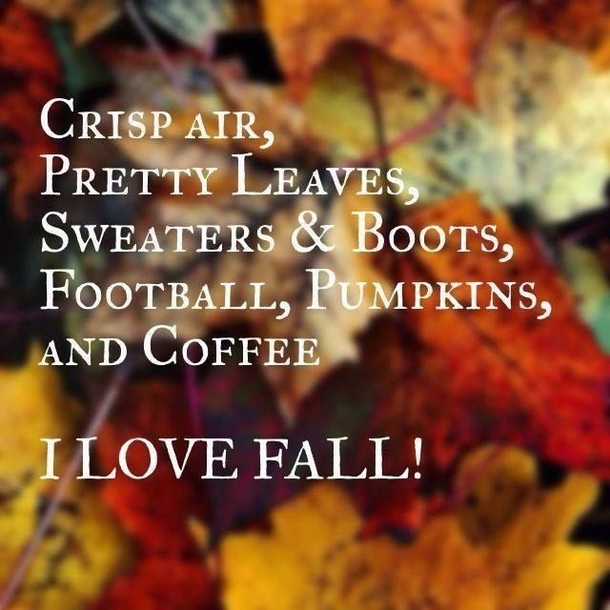 100+ Inspirational Short Fall Quotes You Will Love - picture 6