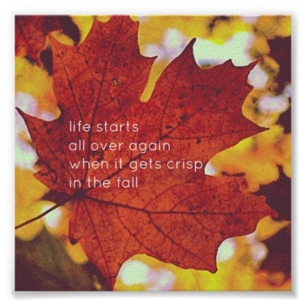 100+ Inspirational Short Fall Quotes You Will Love - picture 7