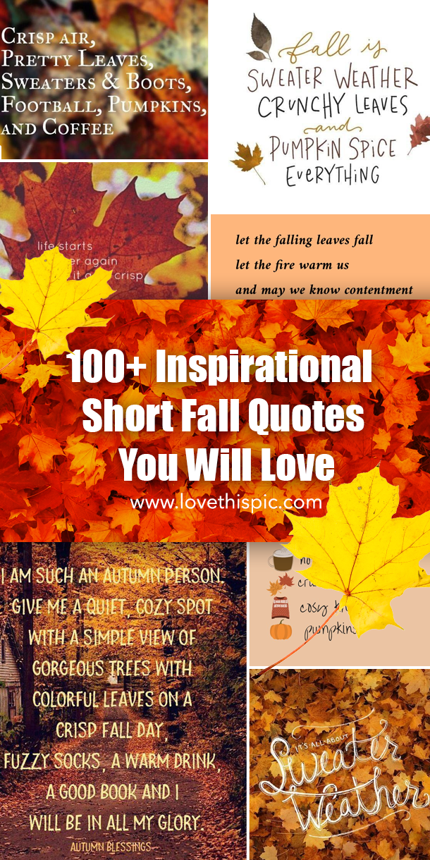 100+ Inspirational Short Fall Quotes You Will Love - picture 9