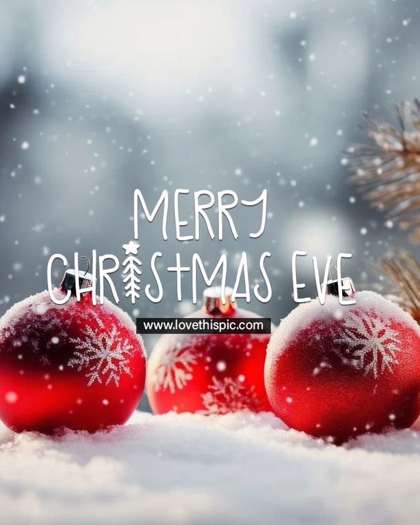 100+ Merry Christmas Eve 2023 Wishes & Quotes - picture 2