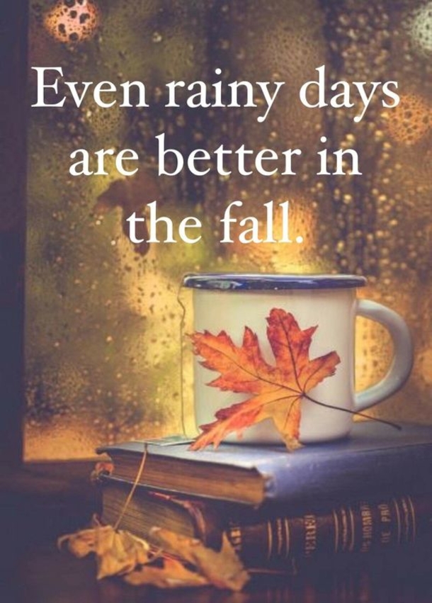 100 Of The Best Inspirational Hello Fall Quotes And Sayings - picture 10