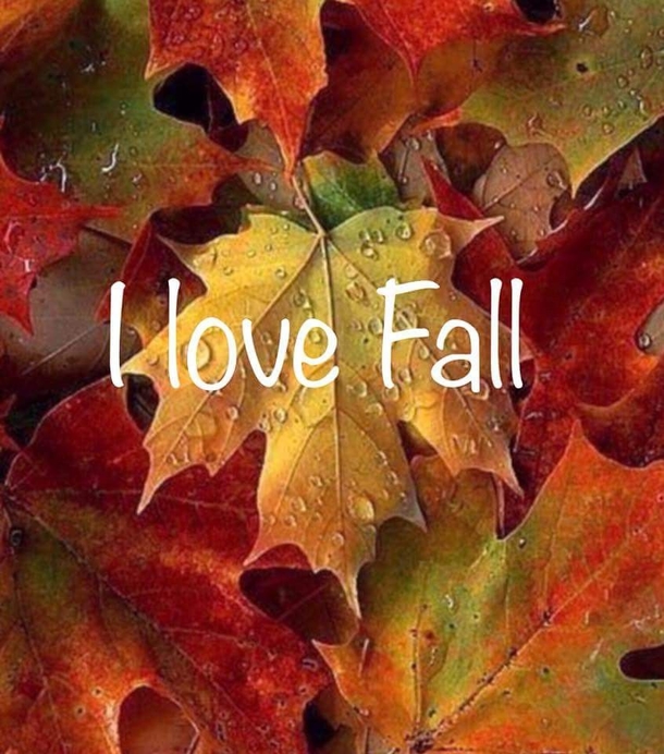 100 Of The Best Inspirational Hello Fall Quotes And Sayings - picture 18