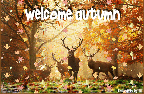 100 Of The Best Inspirational Hello Fall Quotes And Sayings - picture 21